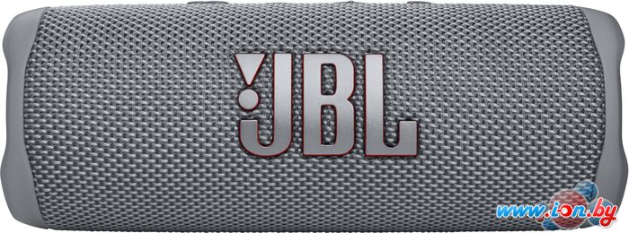 Беспроводная колонка JBL Flip 6 (серый) в Гомеле