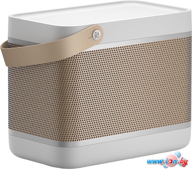 Беспроводная колонка Bang & Olufsen Beolit 20 (серый) в Минске