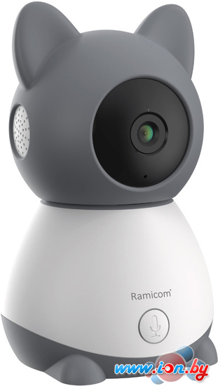 Дополнительная камера Ramicom VRC300C в Бресте