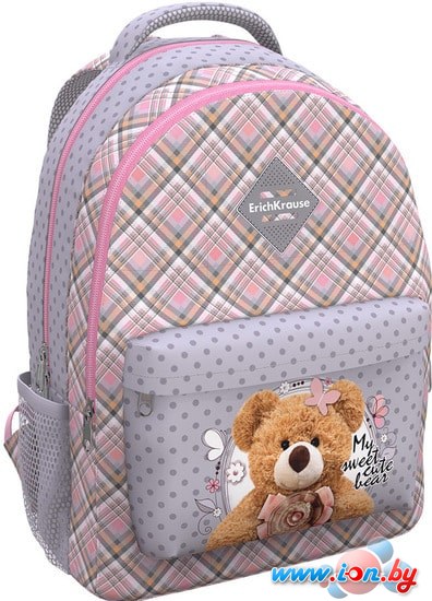 Школьный рюкзак Erich Krause EasyLine 20L Teddy Bear 54470 в Гомеле