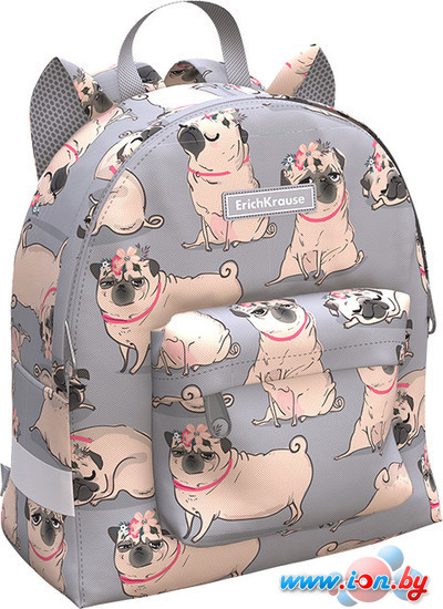 Детский рюкзак Erich Krause EasyLine Mini Animals 6L Chilling Dog 55356 в Могилёве