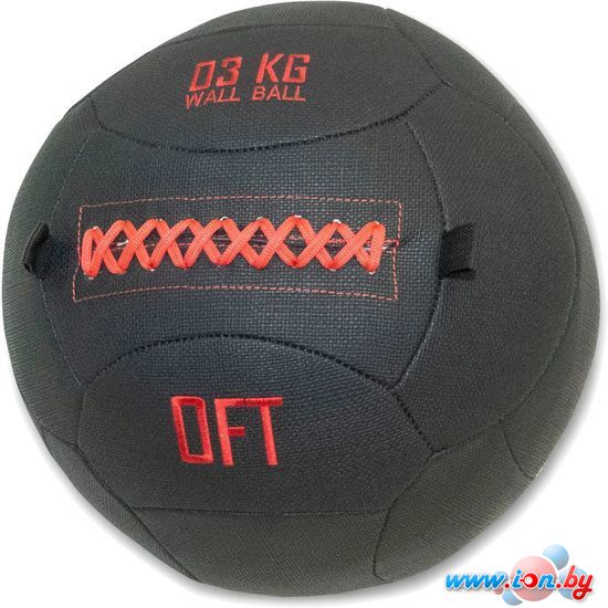 Мяч Original FitTools Wall Ball Deluxe FT-DWB-3 в Бресте