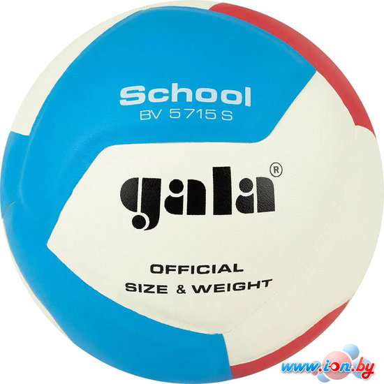 Волейбольный мяч Gala School 12 BV 5715 S (размер 5, белый/красный/голубой) в Гомеле