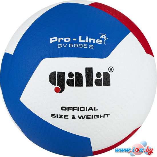 Волейбольный мяч Gala Pro-Line 12 BV 5595 SA (размер 5, белый/красный/голубой) в Бресте