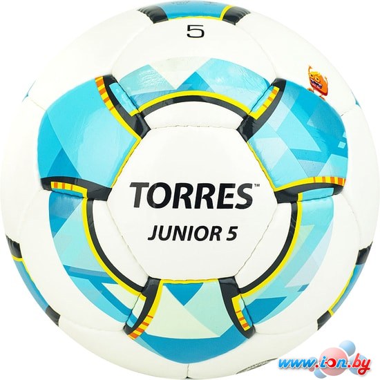 Мяч Torres Junior-5 F320225 (5 размер) в Бресте