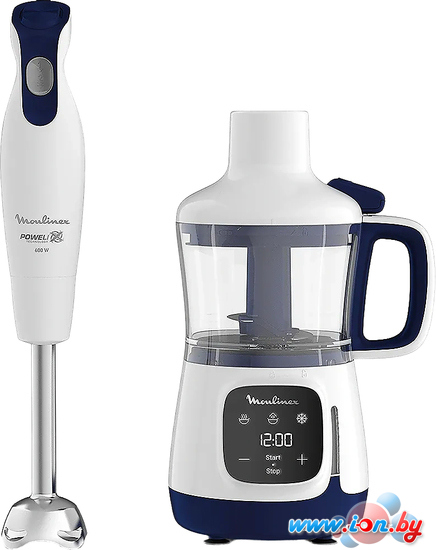 Погружной блендер Moulinex Yummy Gourmet DD55W110 в Бресте