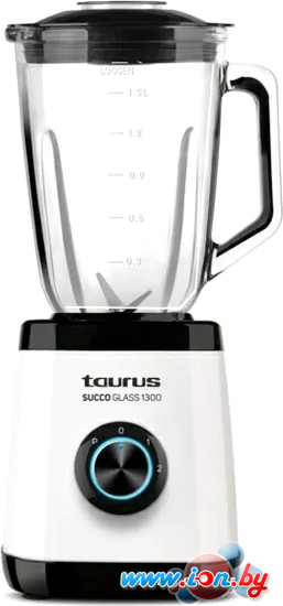 Стационарный блендер Taurus Succo Glass 1300 в Могилёве