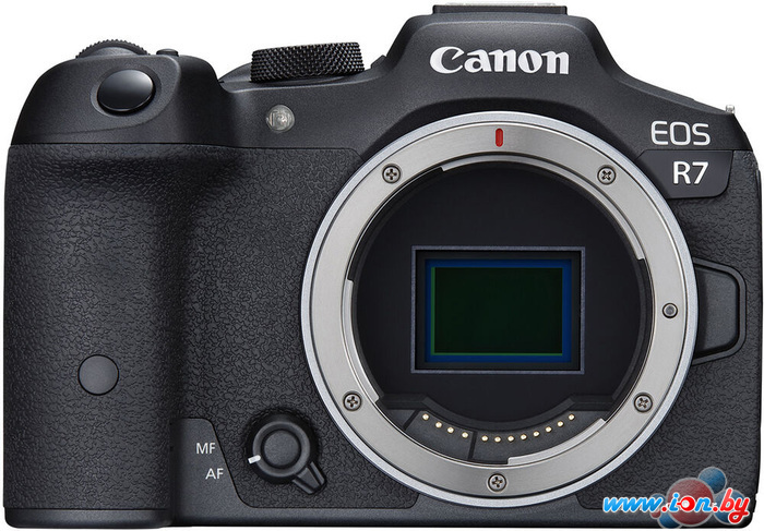 Беззеркальный фотоаппарат Canon EOS R7 Body в Бресте