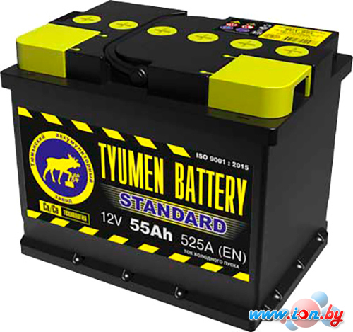 Автомобильный аккумулятор Tyumen Battery 525A 6CT-55LR (55 А·ч) в Могилёве