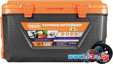 Термобокс BIOSTAL CB-G-K 45л (черный/оранжевый) в Могилёве