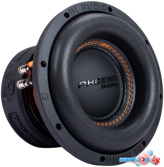 Головка сабвуфера DL Audio Phoenix Black Bass 8 в Витебске