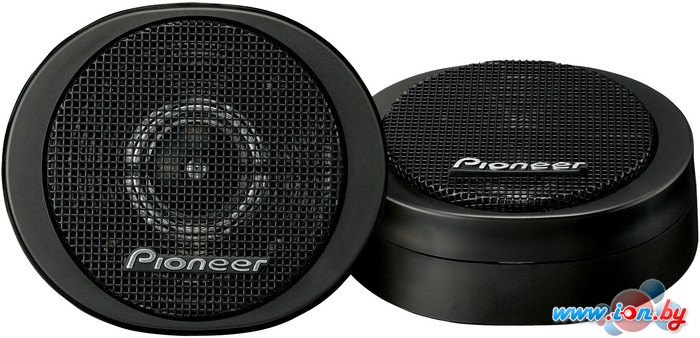 Твитер Pioneer TS-S20 в Могилёве