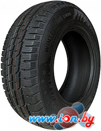 Автомобильные шины DoubleStar DW06 225/75R16C 121/120R в Бресте