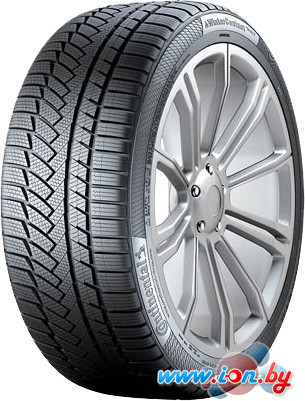 Автомобильные шины Continental WinterContact TS 850 P 225/65R17 106V в Бресте