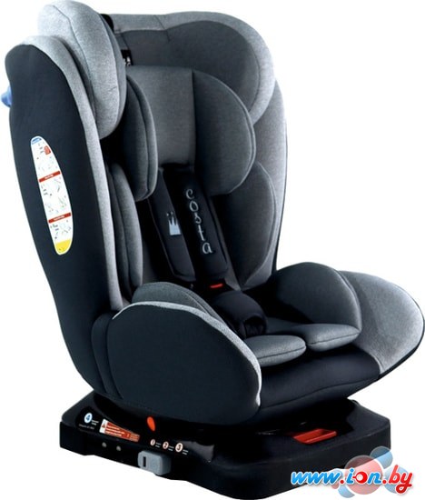 Детское автокресло Costa CS-002 Isofix YB104A (серый/темно-серый) в Гомеле