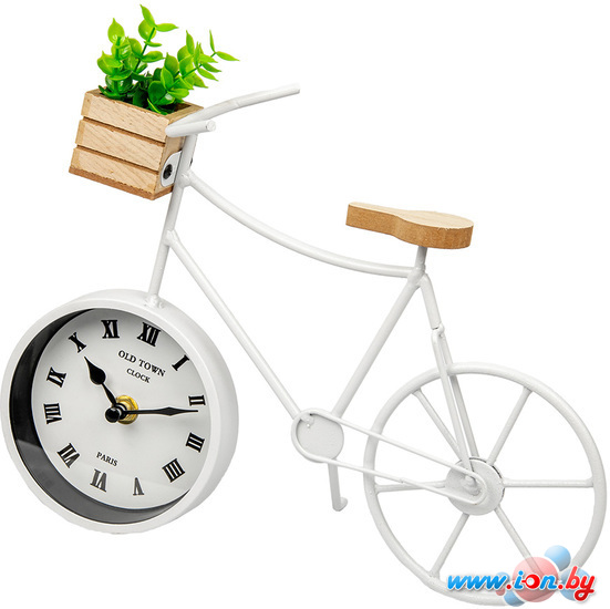 Настенные часы Вещицы Велосипед с суккулентом Fancy52 в Гомеле