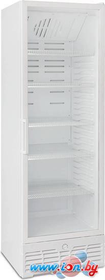 Торговый холодильник Бирюса 521RN в Могилёве