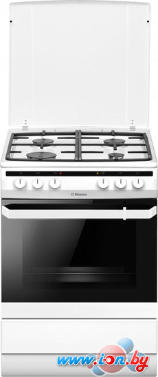 Кухонная плита Hansa FCMW680451 в Могилёве