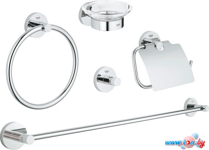 Набор для туалета Grohe Essentials 40344001 в Витебске