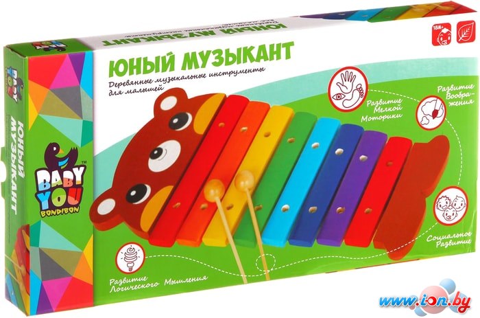 Развивающая игрушка Bondibon Baby You Ксилофон деревянный ВВ1100 в Гродно