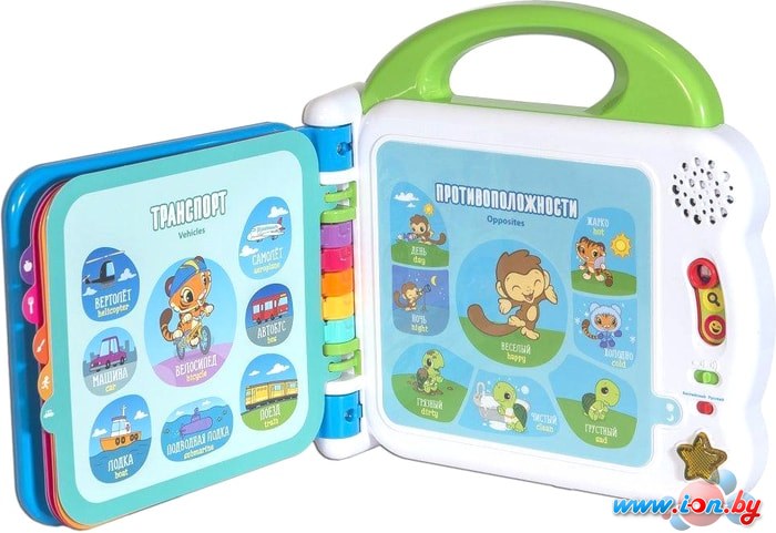 Интерактивная игрушка VTech Мой первый англо-русский словарик 100 слов 80-601526 в Гомеле