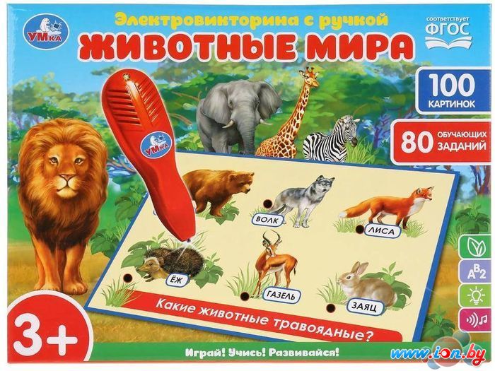 Развивающая игра Умка Электровикторина. С ручкой HT888-R (48) в Гродно