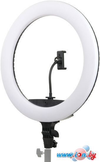 Кольцевая лампа Falcon Eyes BeautyLight 450R LED в Могилёве