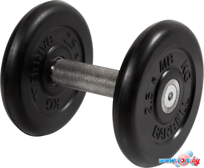 Гантели MB Barbell Профи 6 кг (вращающаяся ручка) в Гомеле