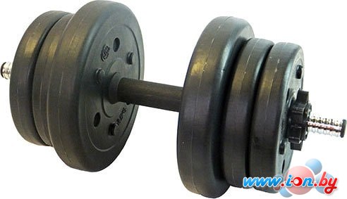 Гантели Lite Weights 3103CD 10 кг в Бресте