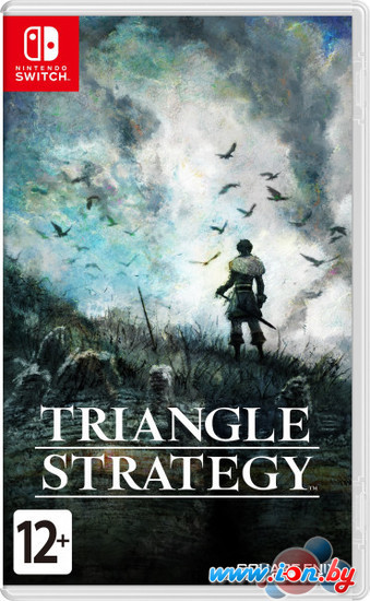 Triangle Strategy для Nintendo Switch в Бресте
