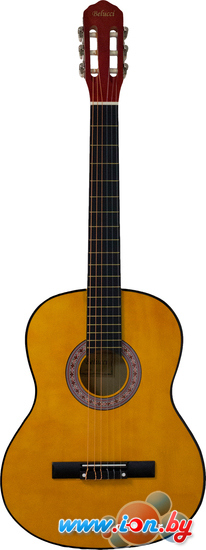 Акустическая гитара Belucci BC3905 OR в Могилёве
