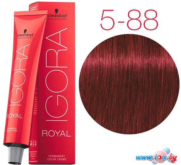 Крем-краска для волос Schwarzkopf Professional Igora Royal Permanent Color Creme 5-88 60 мл в Витебске