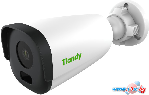 IP-камера Tiandy TC-C34GN I5/E/Y/C/2.8mm/V4.2 в Гомеле