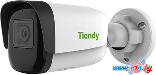 IP-камера Tiandy TC-C32WS I5/E/Y/C/H/4mm в Гродно