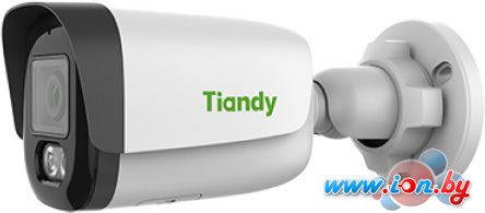 IP-камера Tiandy TC-C34WS I5W/E/Y/4mm/V4.2 в Гродно