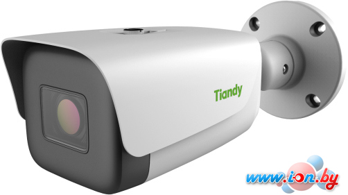 IP-камера Tiandy TC-C35TS I8/A/E/Y/M/H/2.7-13.5mm/V4.0 в Витебске