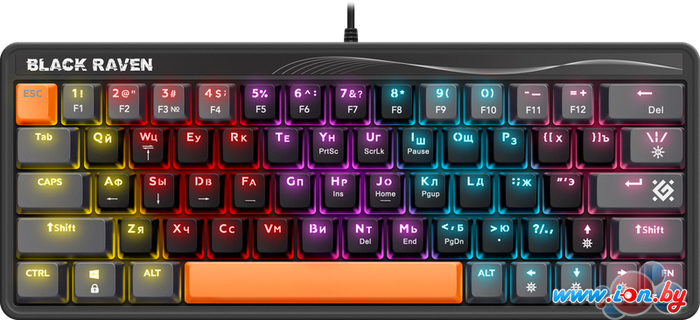Клавиатура Defender Black Raven GK-417 45417 в Могилёве