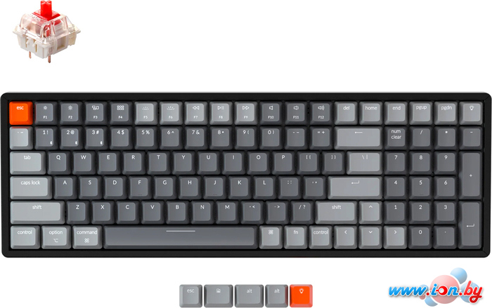 Клавиатура Keychron K4 V2 RGB K4-C1-RU (Gateron G Pro Red) в Гродно