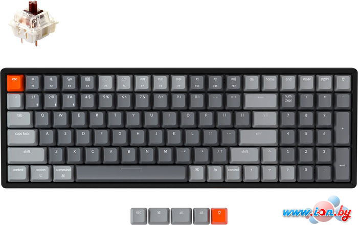 Клавиатура Keychron K4 V2 RGB K4-C3-RU (Gateron G Pro Brown) в Могилёве