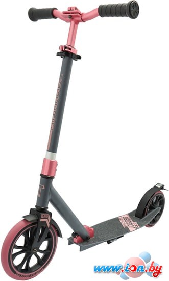 Двухколесный подростковый самокат Tech Team Jogger 230 2021 (серый/розовый) в Могилёве