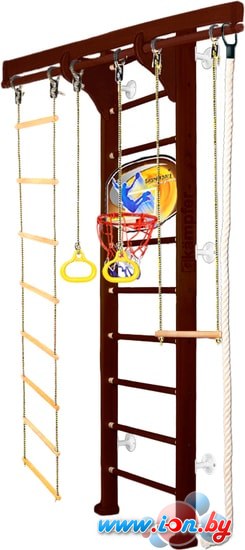 Детский спортивный комплекс Kampfer Wooden Ladder Wall Basketball Shield Стандарт (шоколадный) в Могилёве