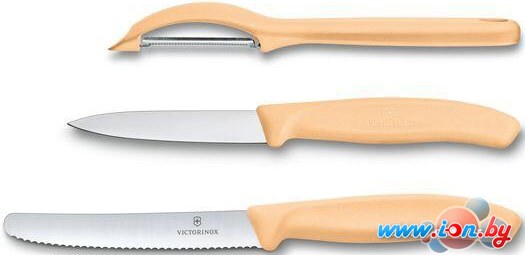 Набор ножей Victorinox Classic 6.7116.31L92 в Могилёве