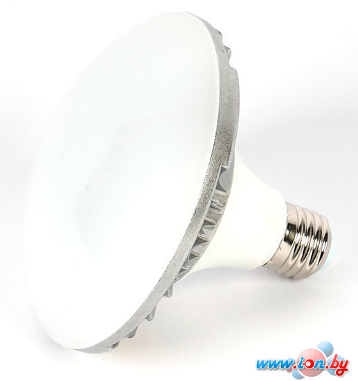 Светодиодная лампочка FST L-E27-LED 50 Вт 5500 К УТ-00000283 в Витебске