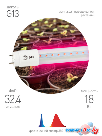 Светодиодная лампочка ЭРА Fito-18W-RB-Т8-G13-NL красно-синего спектра 18 Вт Т8 G13 в Бресте