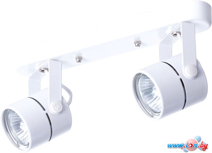 Спот Arte Lamp Mizar A1311PL-2WH в Гомеле