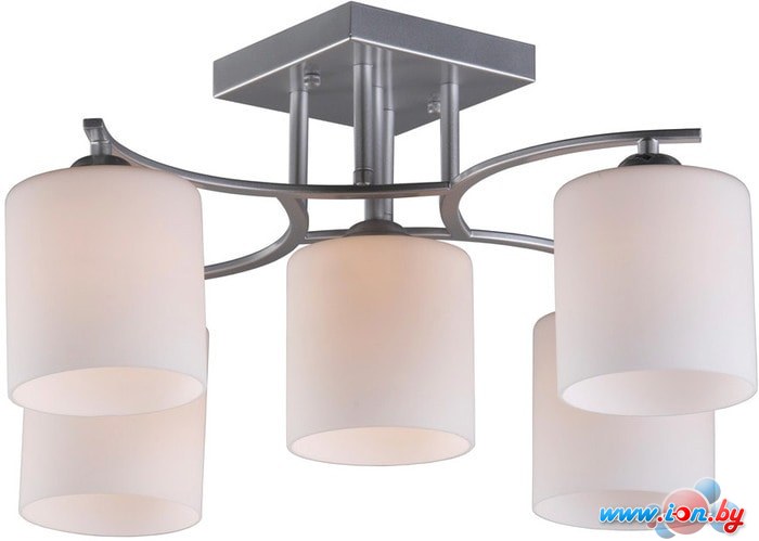 Люстра средней высоты Omnilux Pisticci OML-55307-05 в Могилёве