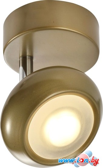 Спот Toplight Carissa TL1244Y-01SG в Гродно