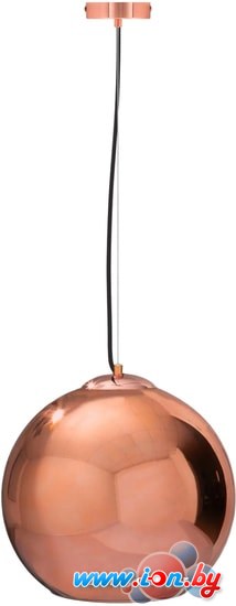 Подвесная люстра LOFT IT Copper Shade LOFT2023-C в Витебске