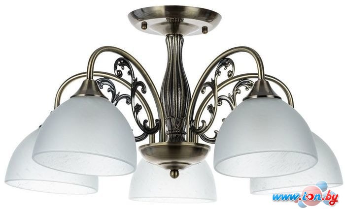 Припотолочная люстра Arte Lamp Spica A3037PL-5AB в Могилёве