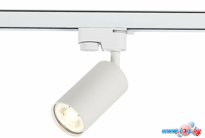 Трековый светильник ST Luce Solt ST300.506.01 в Гродно